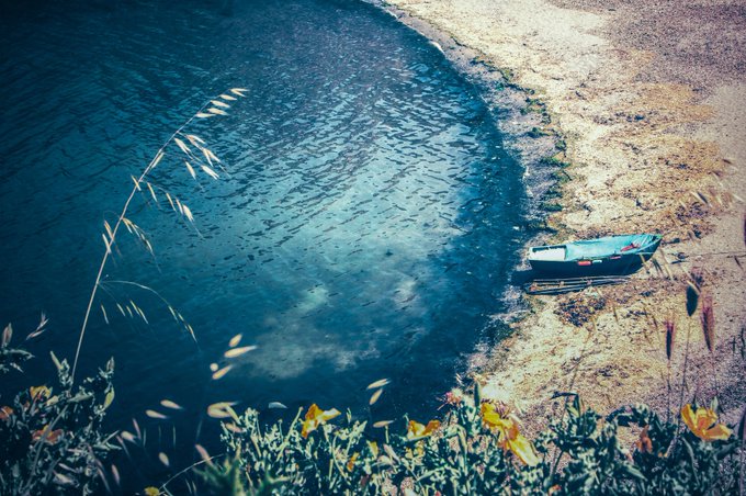 An aerial view of a small blue boat moored beside a sandy shore at the edge of a body of water, with wild grass and yellow flowers in the foreground.