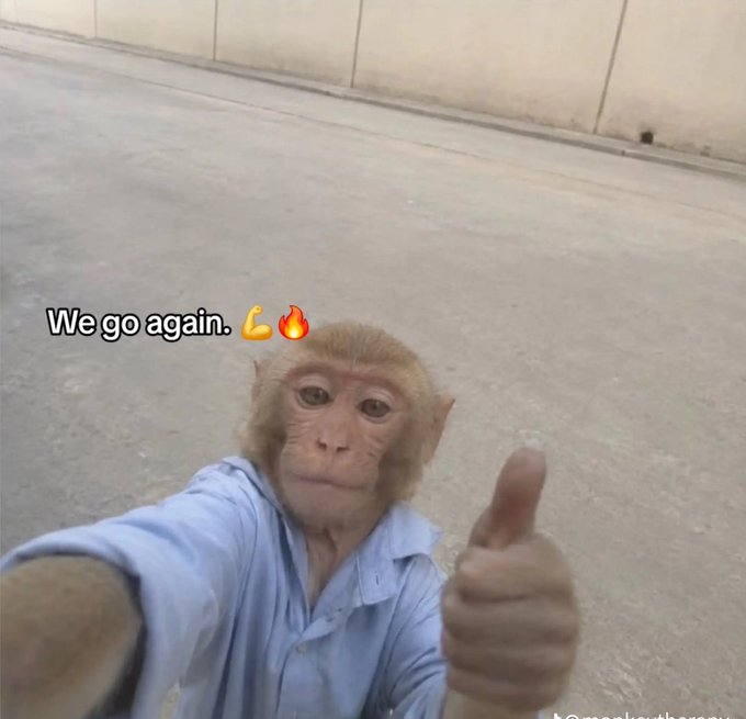 A monkey wearing a light blue shirt takes a selfie while giving a thumbs-up, with overlaid text saying 'We go again.' accompanied by a flexed bicep and fire emoji.