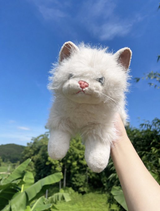 A hand holds up a white fluffy cat plush toy against a backdrop of blue sky, green banana plants, and distant mountains.