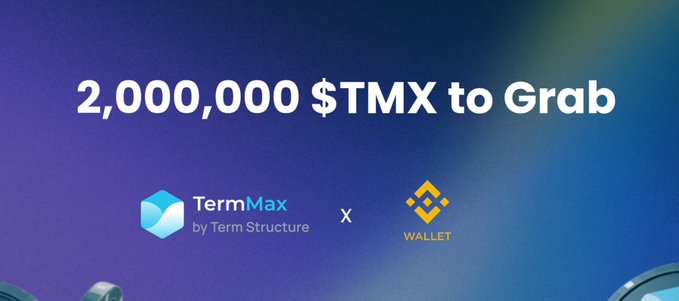 A promotional banner announces '2,000,000 $TMX to Grab' featuring logos for TermMax by Term Structure and Binance Wallet.