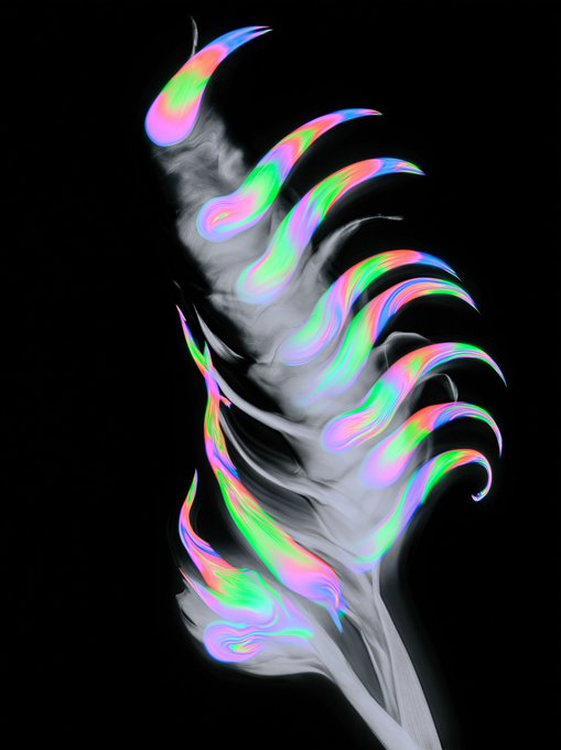 A digital artwork featuring a black and white feather with vibrant iridescent holographic swirls in pink, green, and blue against a black background.