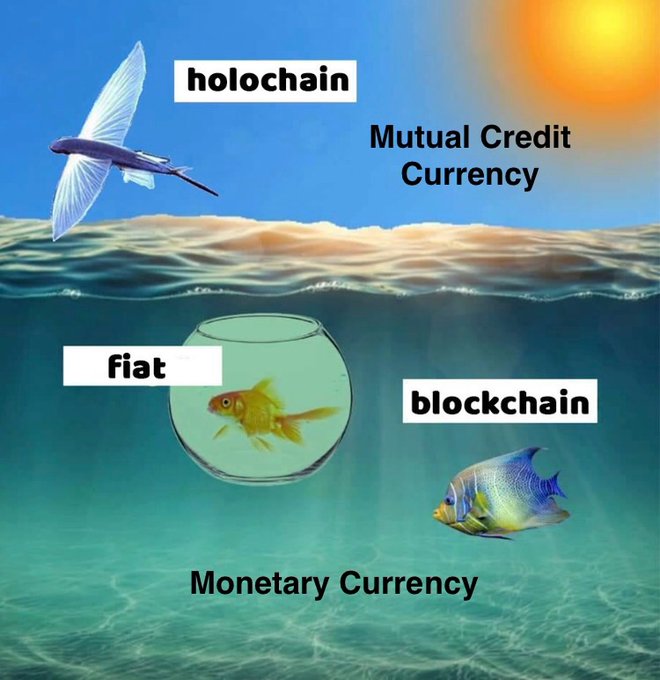A conceptual diagram comparing different currency types: 'holochain' and 'Mutual Credit Currency' shown as birds above water, while 'fiat' (goldfish in bowl) and 'blockchain' (fish in ocean) are labeled as Monetary Currency.
