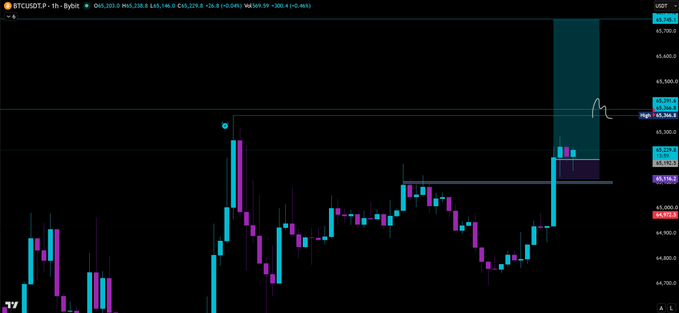 A BTC/USDT perpetual futures trading chart on the 1-hour timeframe showing candlestick price action, with a current price of 65,229.8 and a +0.04% change.