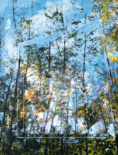A double exposure photograph blending a forest of tall trees and blue sky with a transparent geometric cube frame, featuring the text 'LIMINAL / 1' in the upper left corner.