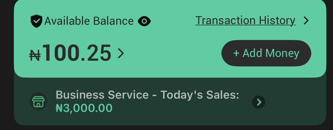 A digital wallet interface on a green background displays an 'Available Balance' of ₦100.25, an 'Add Money' button, and a 'Business Service - Today's Sales' of ₦3,000.00.