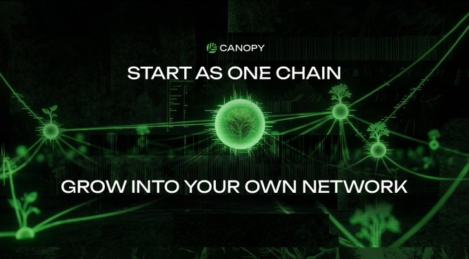 A Canopy-branded graphic with a green network-themed design shows the text "START AS ONE CHAIN" and "GROW INTO YOUR OWN NETWORK," visually representing the post's message about how Canopy's testnet has already attracted 226k chain deployments, foreshadowing even greater builder activity and real rewards once mainnet launches later this year.