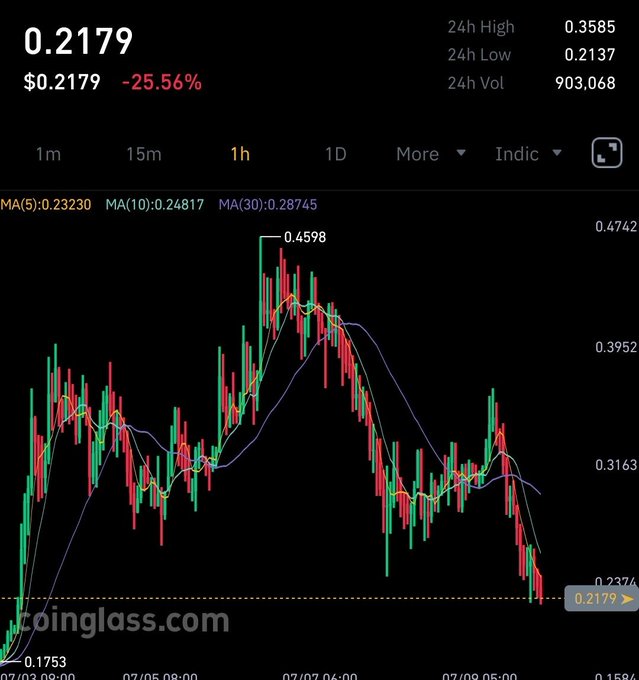 A cryptocurrency price chart from Coinglass.com showing a price of $0.2179 with a -25.56% drop, displaying 24h High of 0.3585, 24h Low of 0.2137, and 24h Volume of 903,068 on a 1h timeframe.