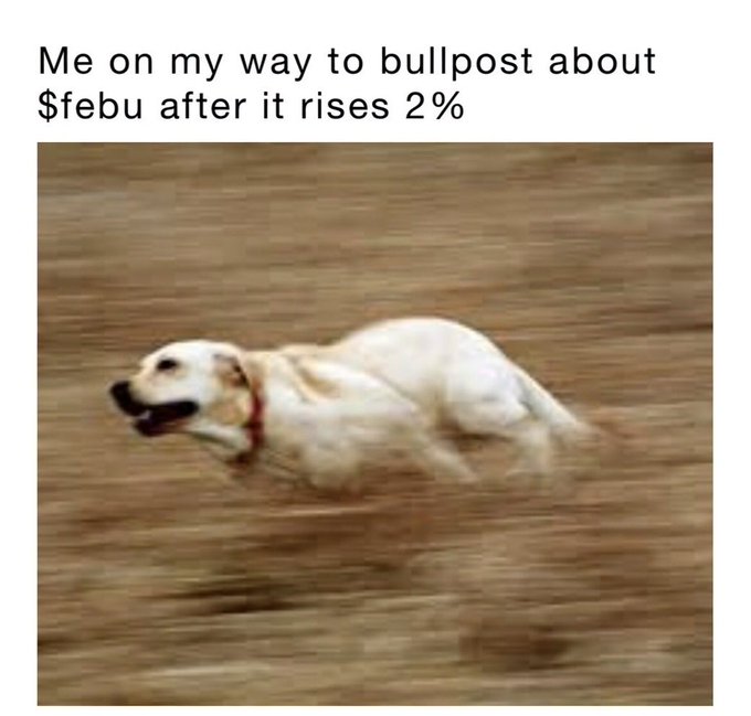 A meme featuring a running golden retriever dog with the caption 'Me on my way to bullpost about $febu after it rises 2%'.