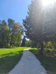 A serene photograph captures a gravel path curving through a lush green park, framed by tall trees under bright sunlight and a clear blue sky.
