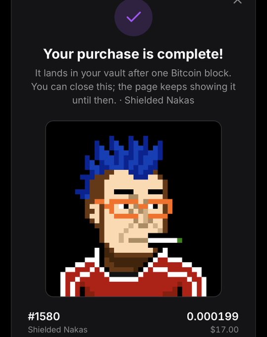 A purchase confirmation screen for an NFT titled 'Shielded Nakas' (#1580) for $17.00 (0.000199), featuring pixel art of a person with blue hair.