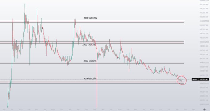 A financial chart of SHIB/ETH shows the price declining sharply toward a marked level of 1500 satoshis, with key resistance levels at 2000, 2500, and 3000 satoshis.