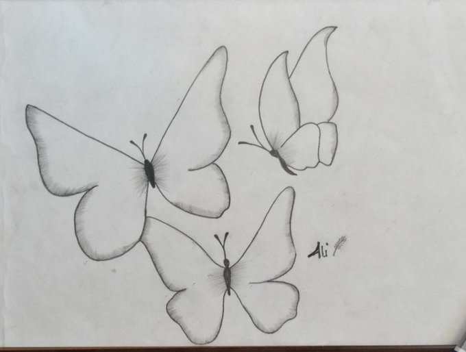 A pencil sketch on aged paper depicting three butterflies in flight, signed with what appears to be 'Ali' and a small butterfly doodle.