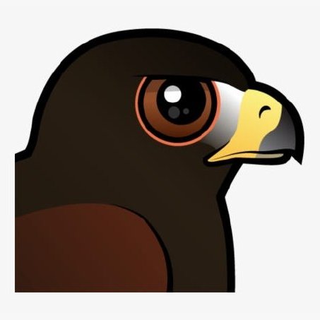 A close-up illustration of a dark-colored bird's head with a large brown eye and yellow beak against a white background.