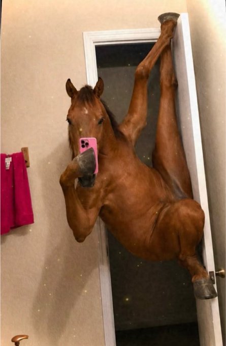 A horse takes a mirror selfie with a pink phone, humorously asking "gm" (good morning) in exchange for the photo, playing on the post's joke about needing to pay for a greeting.