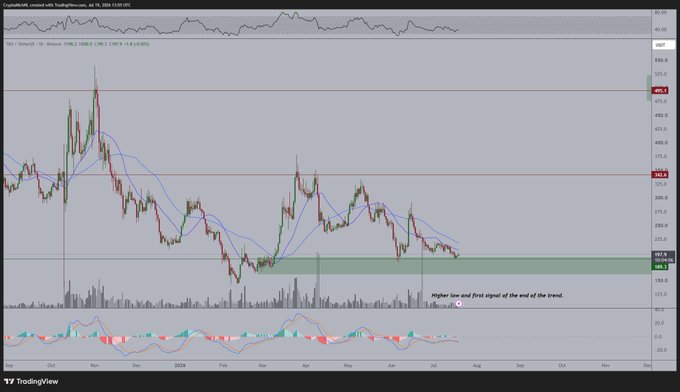A TradingView chart of $TAO (Bittensor) / TetherUS shows the price declining to around $255-360 over several months, with annotations marking "Higher low and first signal of the end of the trend" near a key support zone (highlighted in green), aligning with the post's thesis that this area presents an interesting long opportunity after a sustained downtrend.