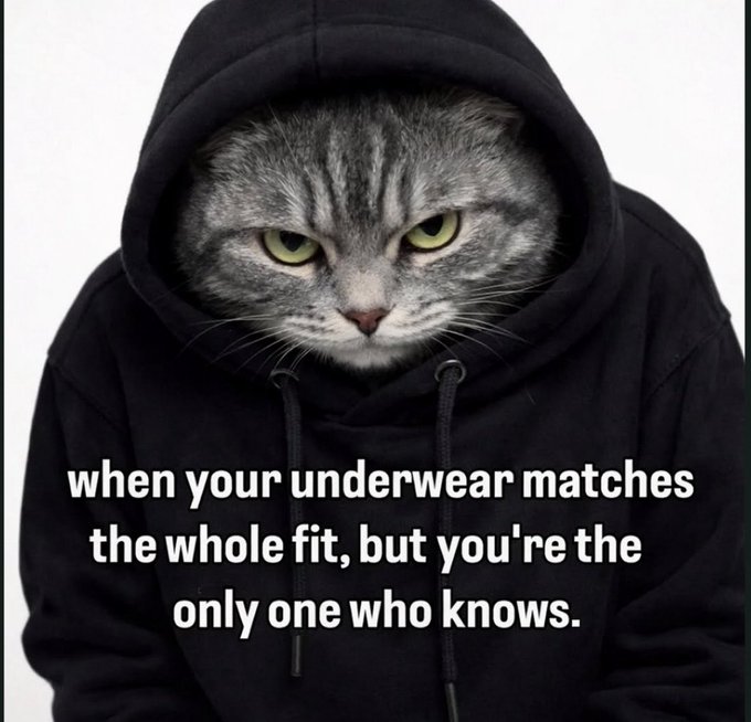 A gray tabby cat wearing a black hoodie with the text "when your underwear matches the whole fit, but you're the only one who knows."