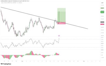 A TradingView chart displays Halliburton (HAL) on an intraday timeframe with a descending trendline, RSI indicator, and MACD histogram, featuring highlighted green (profit) and red (loss) trade zones. The green shaded area aligns with the caption "LMAO EASY MONEY," indicating a successful long position at the trendline support near $25-26.