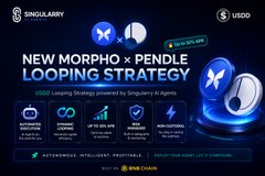 The image features a poster or flyer for Singularry AI's AI Agents on BNB Chain. The text on the poster highlights an expansion of the USDD DeFi utility with a new strategy called PT-sUSDD, which will be available in the Singularry AI platform. It also mentions that Singularry AI's AI Copilot (CTR) is being built to handle trading strategies using PT-sUSDD. The poster includes various icons and symbols related to cryptocurrency, such as the butterfly logo for Singularry AI or the symbol of USSD Coin.