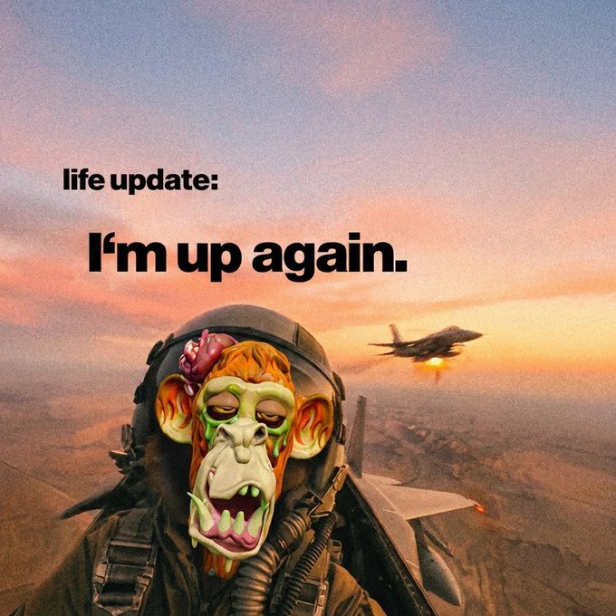 A meme image featuring a pilot wearing a Bored Ape NFT mask flying a fighter jet, with text reading 'life update: I'm up again.' against a sunset sky.