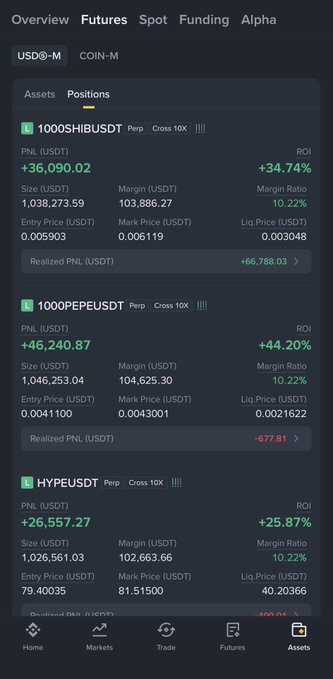A cryptocurrency trading interface showing futures positions in perpetual USDT contracts, including assets like 1000SHIBUSDT, 1000PEPEUSDT, and HYPEUSDT, with green profit indicators showing returns over 25%.