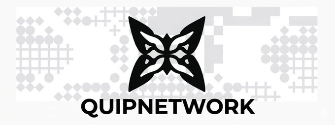 The logo for QuipNetwork displayed in black on a white background with a subtle geometric pattern.