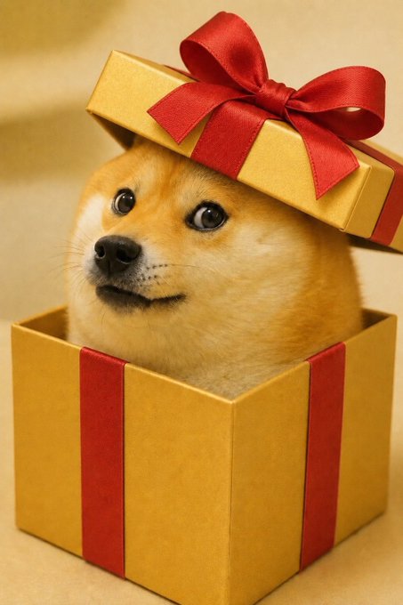 The image features a brown dog with a red bow sitting inside an open gift box that has been decorated for Christmas. The dog appears to be looking out of the box or peeking from behind it, as if curious about its surroundings. The scene is set against a plain background, which further emphasizes the focus on the dog and the gift box.