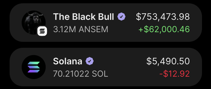 The image displays two cryptocurrency portfolio holdings: "The Black Bull" account with 3.12M ANSEM valued at $753,473.98 (up +$62,000.46) and a Solana position of 70.21022 SOL worth $5,490.50 (down -$12.92). The post suggests viewing the recent dip in $ANSEM as a buying opportunity following its listing on Hyperliquid, while the image showcases a portfolio's gains on the ANSEM position, reinforcing the bullish sentiment against the "dead" narrative.