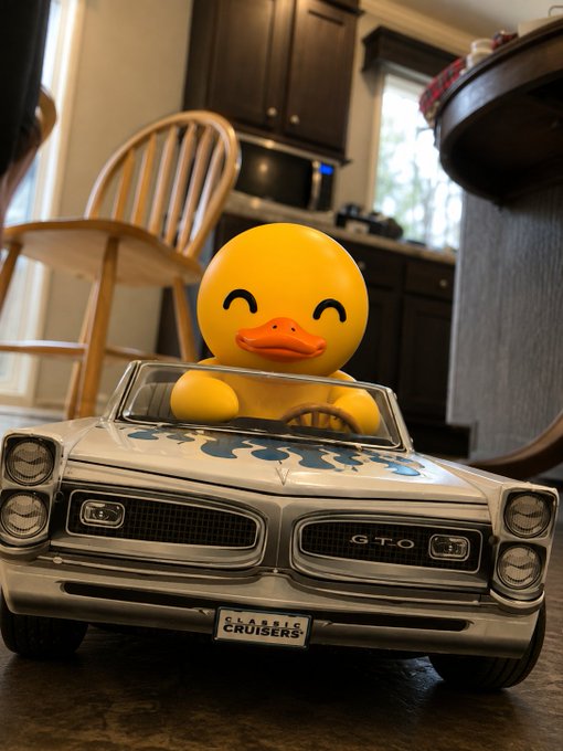 A yellow smiling rubber duck sits in the driver's seat of a white toy GTO Classic Cruisers car on a dark wooden surface in a kitchen.