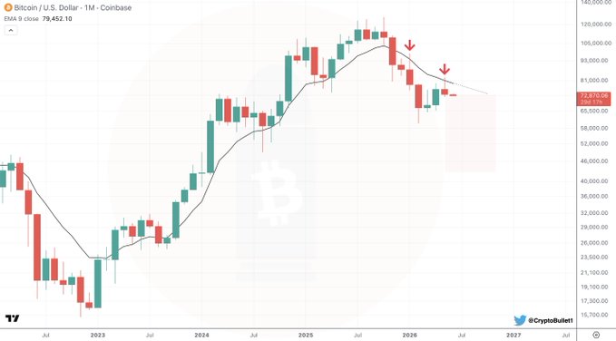 The image features a chart that illustrates the daily performance of Bitcoin (BTC). The chart is particularly focused on the US dollar (USD) against Bitcoin, depicting its fluctuations over time. The chart shows a downward trend, with the prices consistently decreasing from January through May in the lower part of the graph. This may suggest that the value of Bitcoin has been affected by a bearish market. Interestingly, one candle in the chart was labeled as an "emaciated candle" during the month of January, which could potentially be a technical indicator or a signal for potential buyers and sellers to consider in this context.