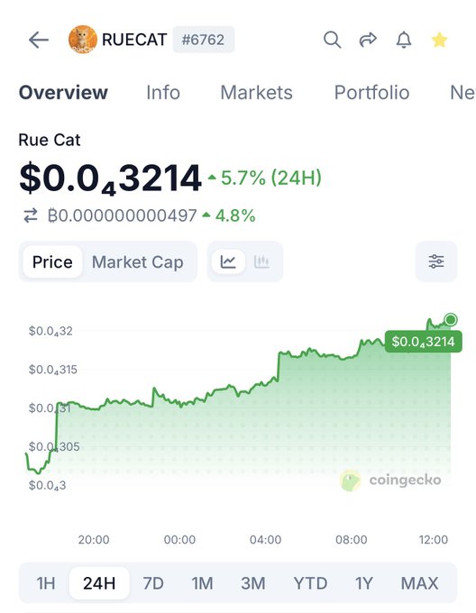 A CoinGecko price chart for the cryptocurrency RUECAT (#6762), showing a current price of $0.0₄3214 with a 5.7% (24H) increase and a 4.8% rise in its BTC value.