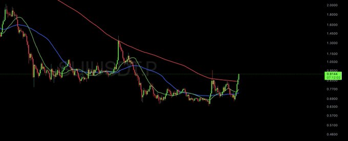 A SUI/USD candlestick chart shows the cryptocurrency's price breaking above its 200-day moving average (red line), rallying near $0.92 alongside the 50-day MA (blue line), supporting the poster's claim of macro bullish momentum and their decision to add to their position.