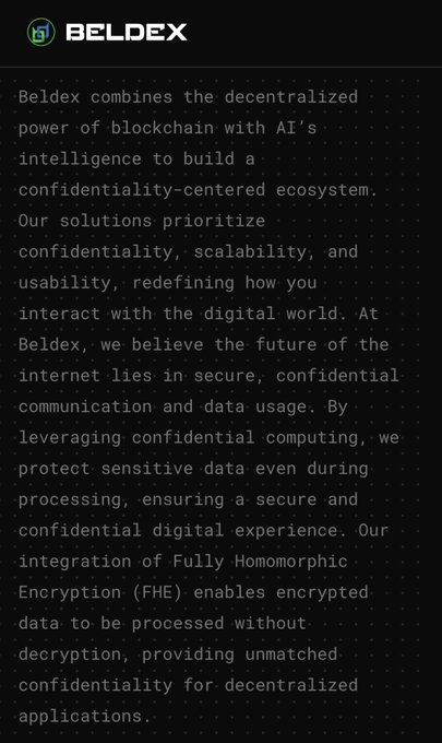 A dark-themed graphic for "BELDEX" with a green logo, featuring text describing the company as combining decentralized blockchain with AI to build a confidentiality-centered ecosystem using Fully Homomorphic Encryption (FHE).