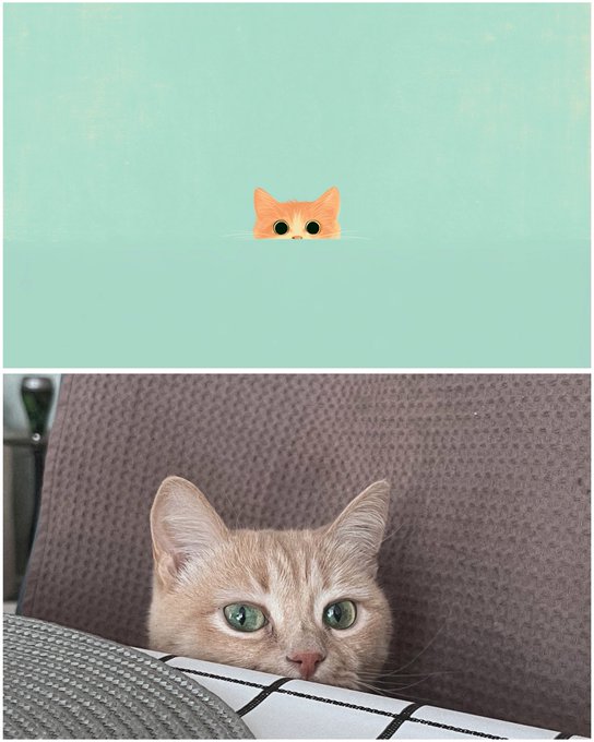 A two-panel image: the top shows a minimalist illustration of an orange cat peeking out of teal water, and the bottom is a photograph of a real orange tabby cat peering over a pillow on a couch.