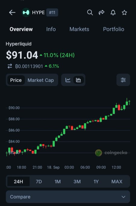 A CoinGecko mobile app screenshot showing the HYPE (Hyperliquid) token at $91.04, up 11.0% in 24H, with a green candlestick price chart rising from ~$86 to ~$90 over the past day.