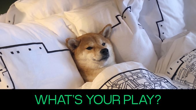 "What's Your Game Plan?"