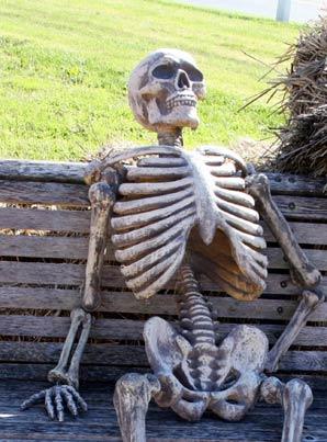 A weathered plastic skeleton lounges on a wooden bench, head tilted back with one hand resting behind it in a relaxed pose. The image humorously evokes a "waiting" or "killing time" vibe, fitting the post's contemplative tone about patiently observing FLUX3's development before users begin experimenting with its features.