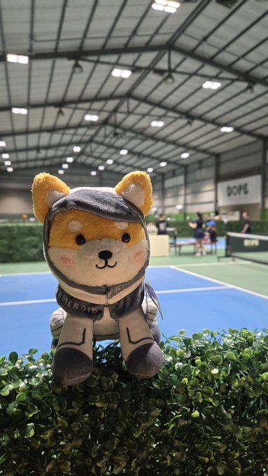 A plush toy fox wearing a gray and black hoodie sits on a hedge inside what appears to be an indoor padel or tennis facility, with people visible in the background.