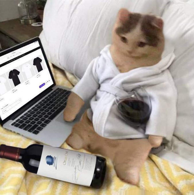 A humorous image of a cat wearing a white bathrobe holding a glass of red wine, sitting next to a laptop and an open wine bottle on a bed.