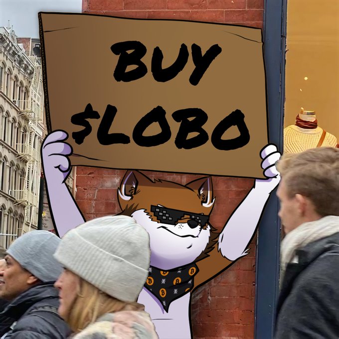 The image features a cartoon cat holding up a sign that reads "Buy Slobo", which is a humorous take on the popular video game, Frogger. The cat appears to be wearing sunglasses and has a bandana around its neck. In the background, there are people walking by, adding a sense of scale to the scene. The post includes text that says "$LOBO at 1m mc is actually insane ct sleeping through another free layup". This message seems to be related to the cartoon cat's sign and possibly the game Frogger itself.
