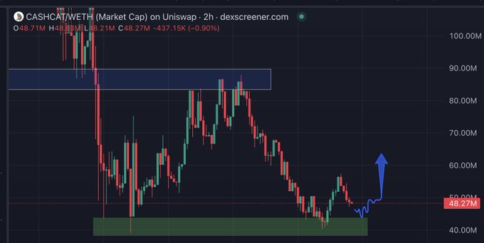 This is a crypto chart showing the CASHCAT/WETH market cap on Uniswap, with a current value of $48.27M, that the user anticipates will see "REAL EXPANSION".