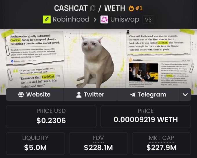 A promotional graphic for the cryptocurrency 'CASHCAT', showing a white cat, links to Website, Twitter, and Telegram, and displaying metrics: PRICE USD $0.2306, PRICE 0.00009219 WETH, LIQUIDITY $5.0M, FDV $228.1M, and MKT CAP $227.9M.
