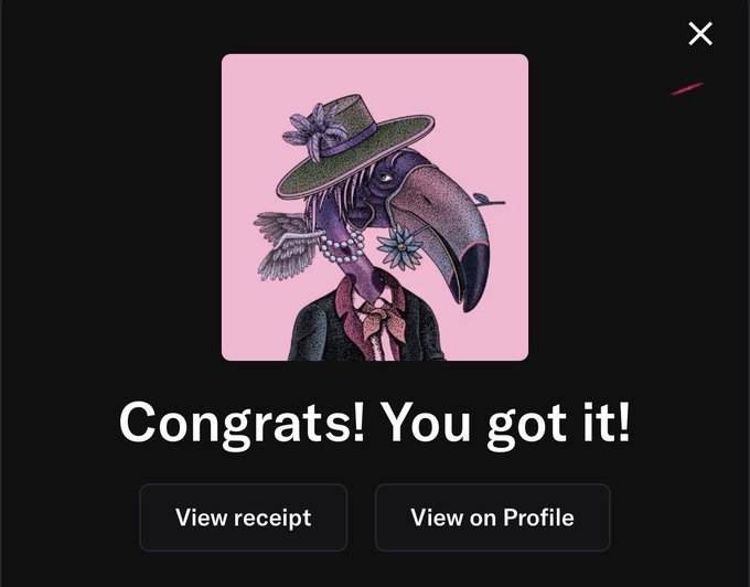 The image shows an email screen with a pink background featuring a cartoon bird wearing a hat and suit. The text on the screen congratulates the user for their purchase or achievement, stating that they have "Congratulations! You got it!". The email also provides instructions on how to view the transaction details in the profile section of the email.