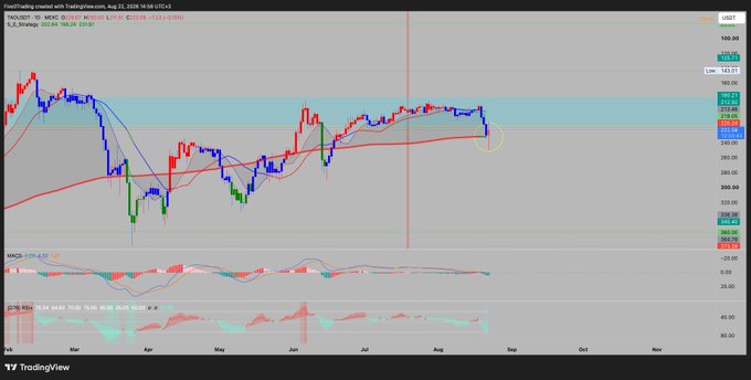 A daily TradingView chart of TAOUSDT on WUSDC shows price trading in the 300s range with EMAs (20/50/100/200), MACD, and Stochastic RSI, where a yellow circle highlights price tapping the 200 EMA near ~313, corresponding to the post's description of taking profit on the 200 EMA at 313.