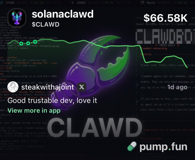 A pump.fun token page for solanaclawd ($CLAWD) showing a price chart with a downward trend and a market cap of $66.58K, featuring a positive testimonial 'Good trustable dev, love it' from user steakwithajoint.