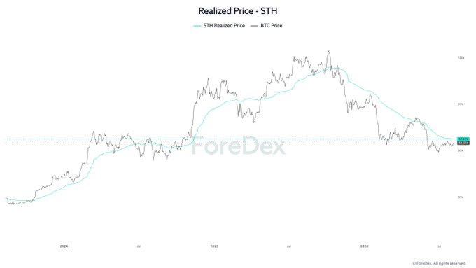 A line chart titled 'Realized Price - STH' comparing 'STH Realized Price' (teal) and 'BTC Price' (gray) from 2024 through 2026, branded with 'ForeDex'.