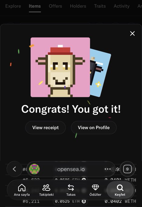 A celebratory NFT acquisition screen displays "Congrats! You got it!" featuring a pixelated beige cow character on a pink background, with options to "View receipt" or "View on Profile," shown on opensea.io—visually confirming the user's successful sweep of Cashmere Labs NFTs, aligning with their boast of now owning 24 total NFTs.
