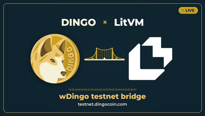 Promotional graphic announcing the DINGO × LitVM partnership for the wDingo testnet bridge, featuring a gold Dingo coin logo, a bridge icon connecting to the LitVM logo, and the URL "testnet.dingocoin.com" with a "LIVE" indicator in the top right.