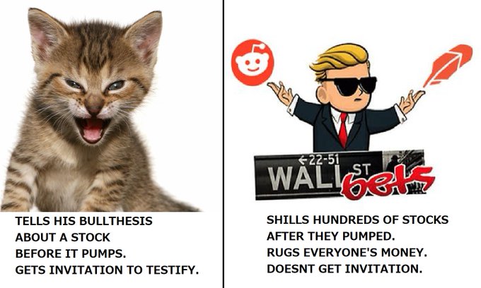 A meme featuring a yelling kitten on the left captioned "TELLS HIS BULLTHESIS ABOUT A STOCK BEFORE IT PUMPS. GETS INVITATION TO TESTIFY," contrasted with a WallStreetBets Trump figurine on the right captioned "SHILLS HUNDREDS OF STOCKS AFTER THEY PUMPED. RUGS EVERYONE'S MONEY. DOESNT GET INVITATION," criticizing WSB for manipulating stocks like $WEN and $GME.
