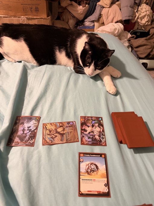 A black and white cat lounges on a light blue bedsheet above a display of Azuki TCG cards, including a clearly visible "Prickly Tumbleweed" card, suggesting the owner just emerged victorious in a card game match against their feline opponent.