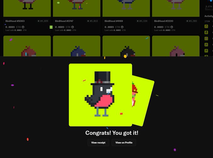 A digital collectible 'BirdFood' NFT card showing a pixelated bird character, with the text 'Congrats! You got it!' and buttons to 'View receipt' and 'View on Profile.'